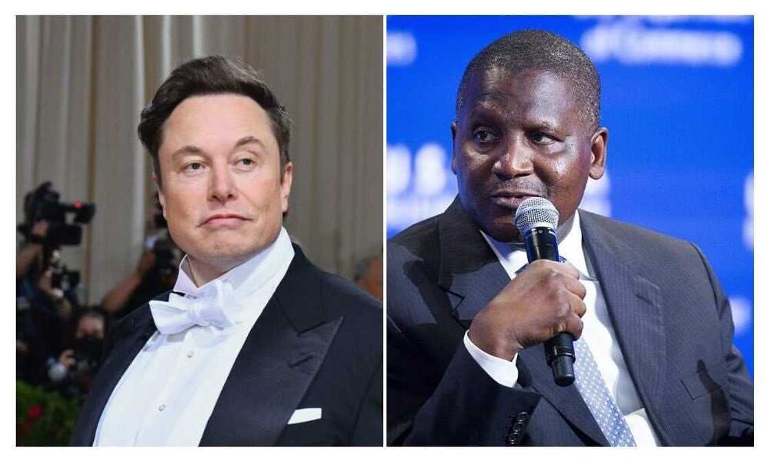 Dangote now 63rd, as Elon Musk tops 100 billionaires’ ranking