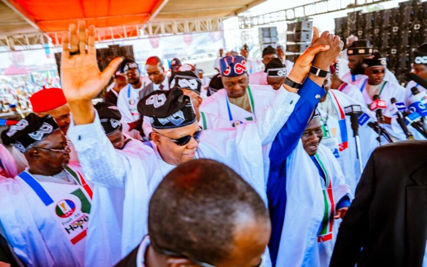 Vice President Kashim Shettima