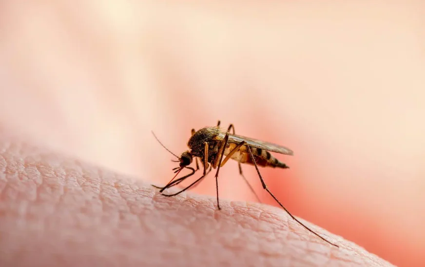 New Malaria Vaccine Offers Hope for Africa