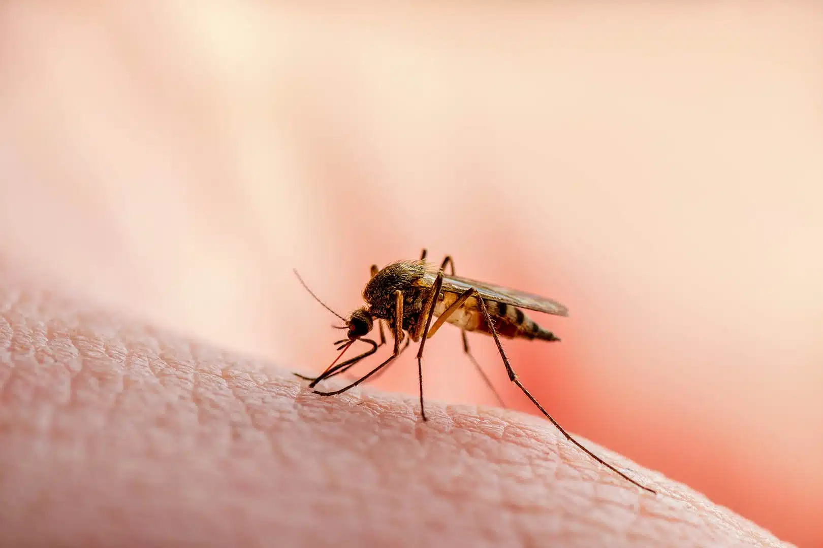 New Malaria Vaccine Offers Hope for Africa