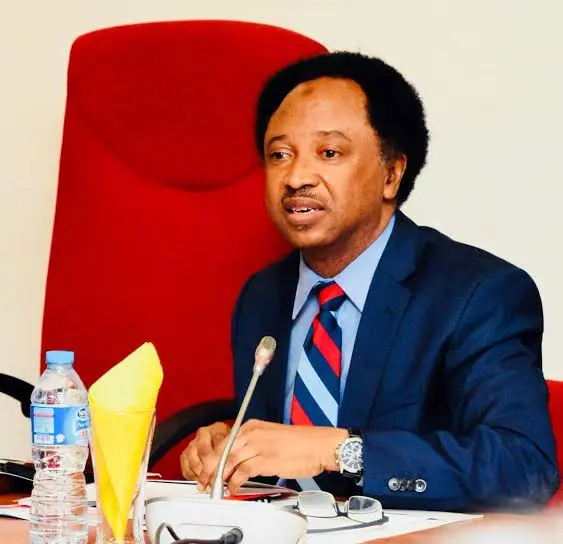 Shehu Sani Backs Fani-Kayode on Ambassadorial Redeployment