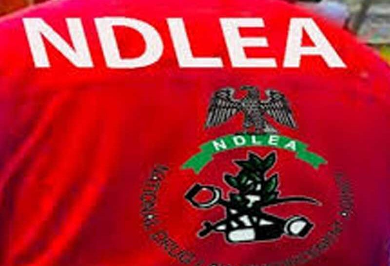 NDLEA Arrests Businessman With 4.8kg Cocaine Hidden In Shoes, Bags