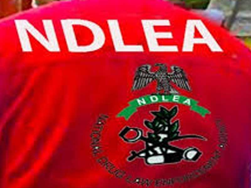 NDLEA Arrests Businessman With 4.8kg Cocaine Hidden In Shoes, Bags